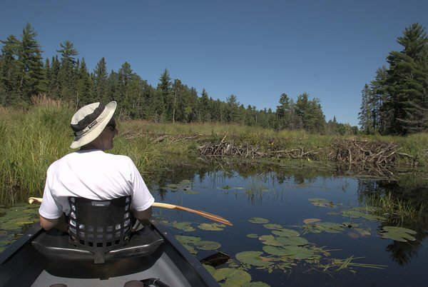 gal/bwca2009/DSC_4030.jpg