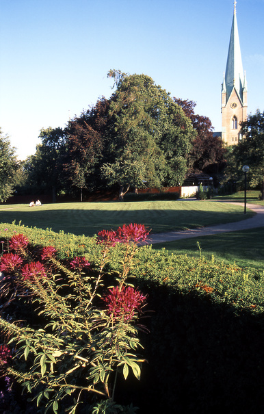 gal/sweden_land_sea/catherdral_flowers.jpg