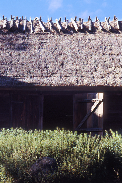 gal/sweden_land_sea/open_door_thatch_building.jpg