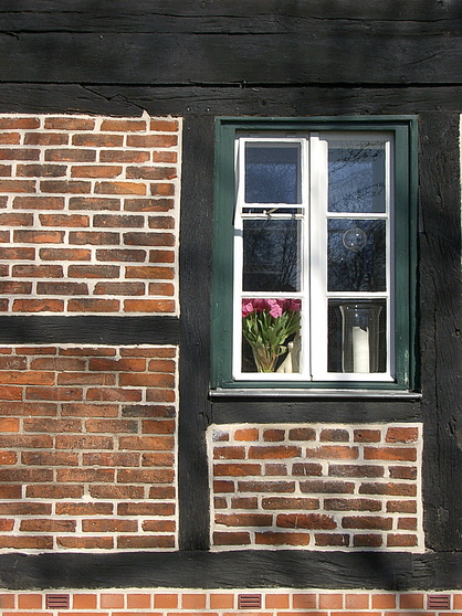 gal/windows2/german_window_flowers.jpg